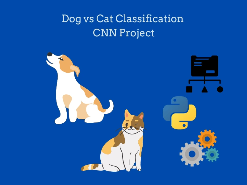 dog-vs-cat-classification - img